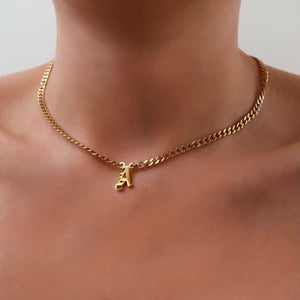 Initial Choker Necklace